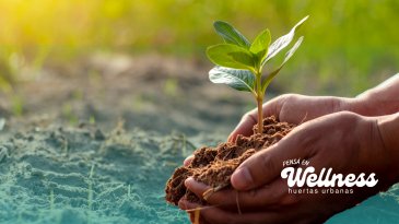 Pensá en Wellness: huertas urbanas (Próximamente)