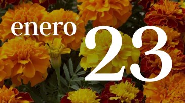 23 ENERO