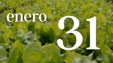 31 ENERO