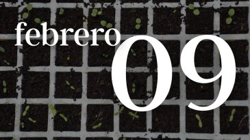 09 FEBRERO