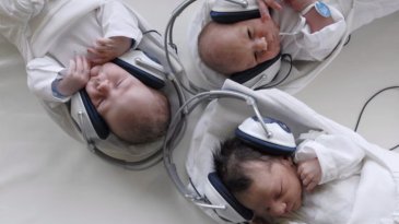 Los reci&eacute;n nacidos podr&iacute;an predecir ritmos musicales