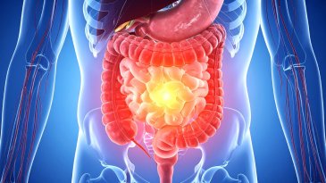 La mente en el intestino: una conexi&oacute;n m&aacute;s profunda de lo que imaginamos