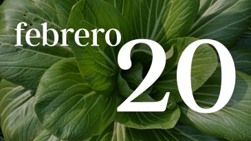 20 FEBRERO