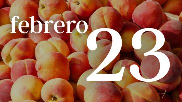 23 FEBRERO