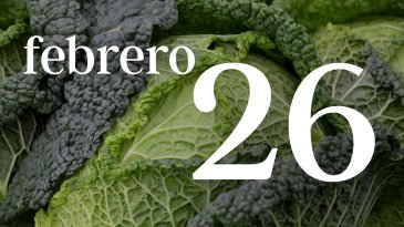 26 FEBRERO