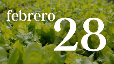 28 FEBRERO