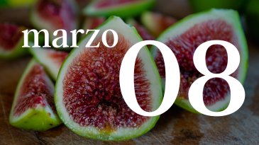 08 MARZO