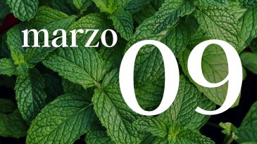 09 MARZO