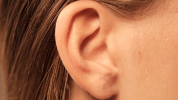 Orejas: entre la evoluci&oacute;n, la cultura y el cuidado del cuerpo