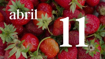 11 ABRIL