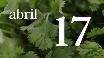 17 ABRIL