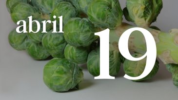19 ABRIL
