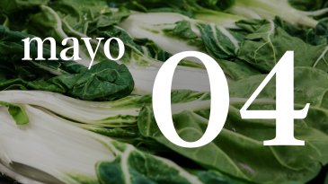 04 MAYO