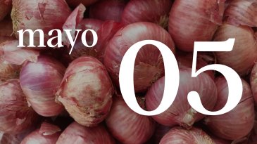 05 MAYO