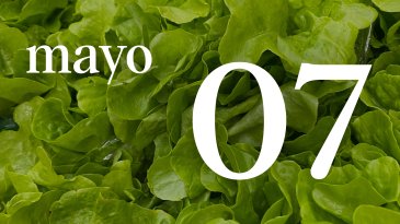 07 MAYO
