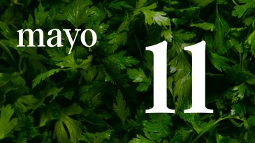 11 MAYO