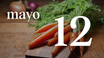 12 MAYO