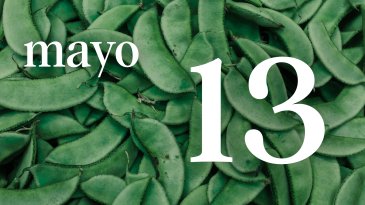 13 MAYO