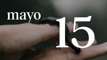15 MAYO