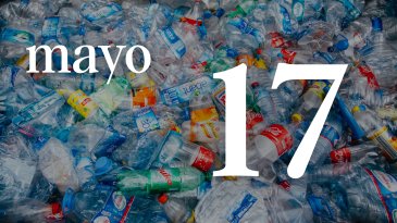 17 MAYO