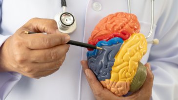 Nuevo hallazgo cient&iacute;fico cambia la mirada sobre un tipo frecuente de ACV