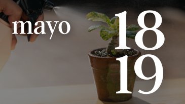 18 Y 19 MAYO