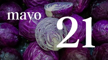 21 MAYO