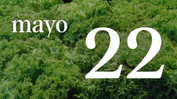 22 MAYO