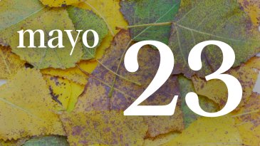 23 MAYO