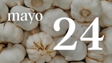 24 MAYO
