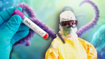 &Eacute;bola &iquest;el virus m&aacute;s peligroso del mundo?