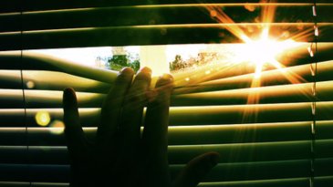 Sensibilidad a la luz