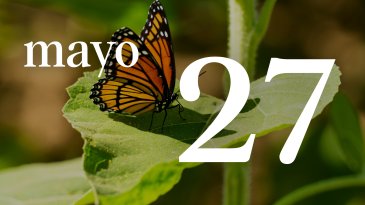 27 MAYO
