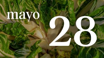 28 MAYO