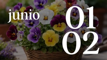 01 Y 02 JUNIO