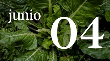 04 JUNIO
