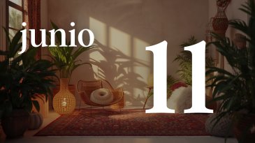 11 JUNIO