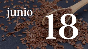 18 JUNIO