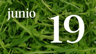 19 JUNIO