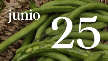 25 JUNIO