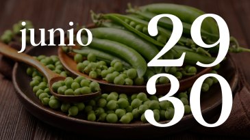 29 y 30 JUNIO