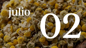 02 JULIO