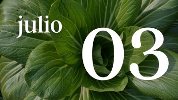 03 JULIO