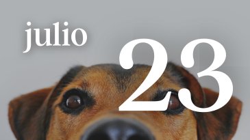 23 JULIO