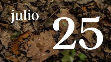 25 JULIO