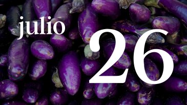 26 JULIO