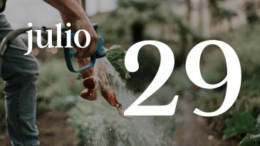 29 JULIO