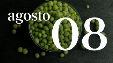 08 AGOSTO