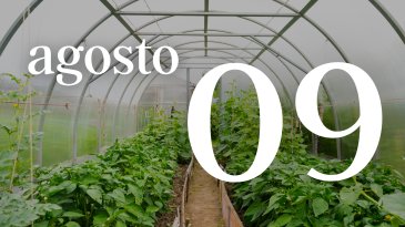 09 AGOSTO