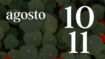 10 Y 11 AGOSTO